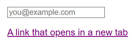 Rendered output: an empty text input with placeholder "you@example.com" and a thin gray border, above a purple underlined link reading "A link that opens in a new tab"