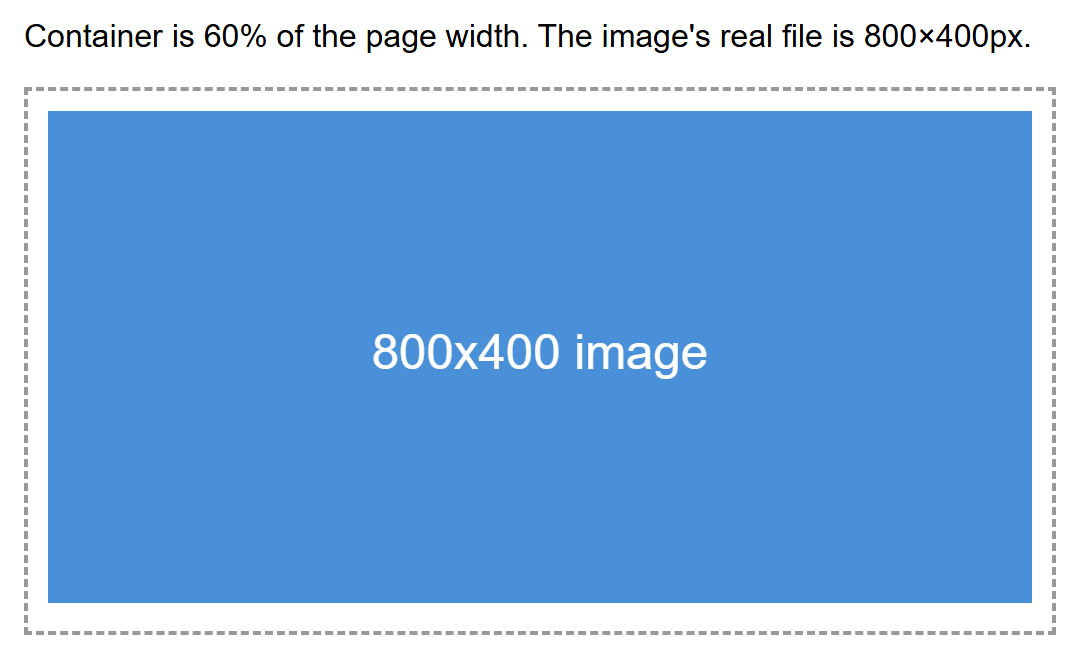 Rendered output: an 800 by 400 pixel placeholder image inside a dashed-border container that is 60% of the page width, at a wide desktop width where the image renders large